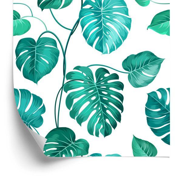 Behang Monstera Natura Bladeren