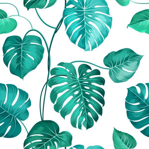 Behang Monstera Natura Bladeren - Afbeelding 2